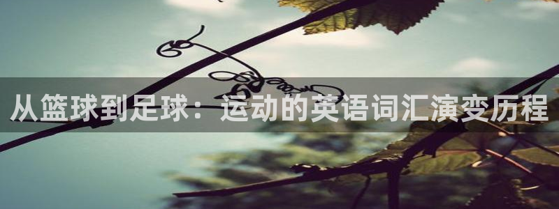 betway西汉姆联官网