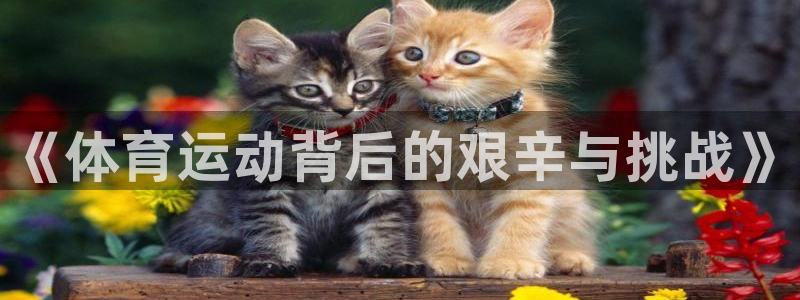 betway西汉姆：《体育运动背后的艰辛与挑战》