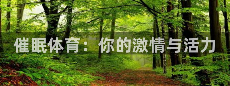 betway西汉姆：催眠体育：你的激情与活力