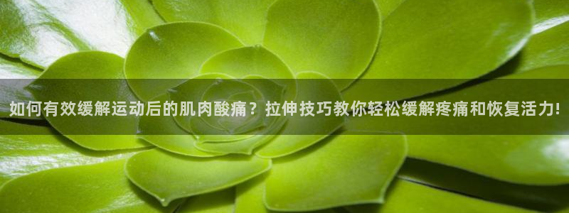 必威betway西汉姆联：如何有效缓解运动后的肌肉酸痛？拉伸技巧教你轻松缓解疼痛和恢复活力!