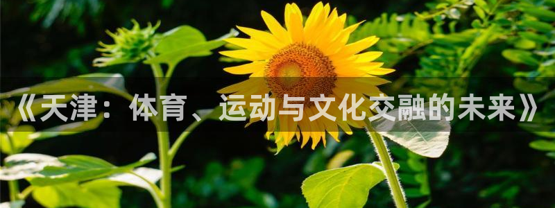 betway西汉姆官网：《天津：体育、运动与文化交融的未来》