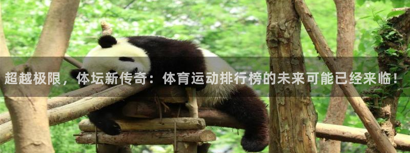 betway西汉姆联：超越极限，体坛新传奇：体育运动排行榜的未来可能已经来临！