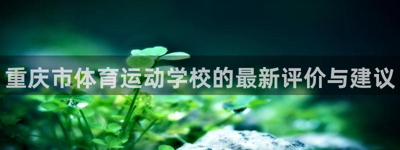 betway西汉姆：重庆市体育运动学校的最新评价与建议