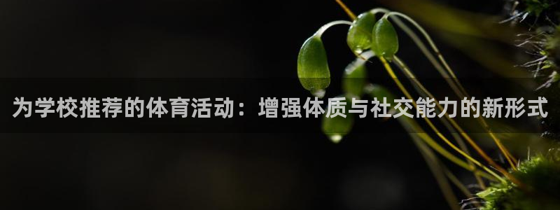betway西汉姆联：为学校推荐的体育活动：增强体质与社交能力的新形式