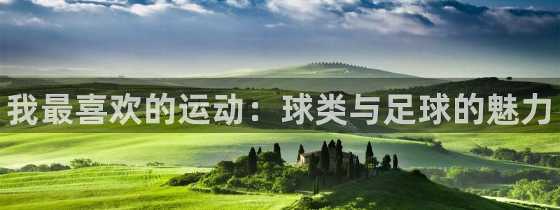 betway西汉姆联
