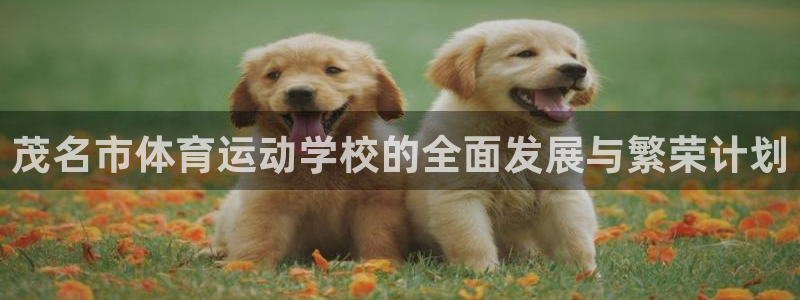 betway西汉姆联官网